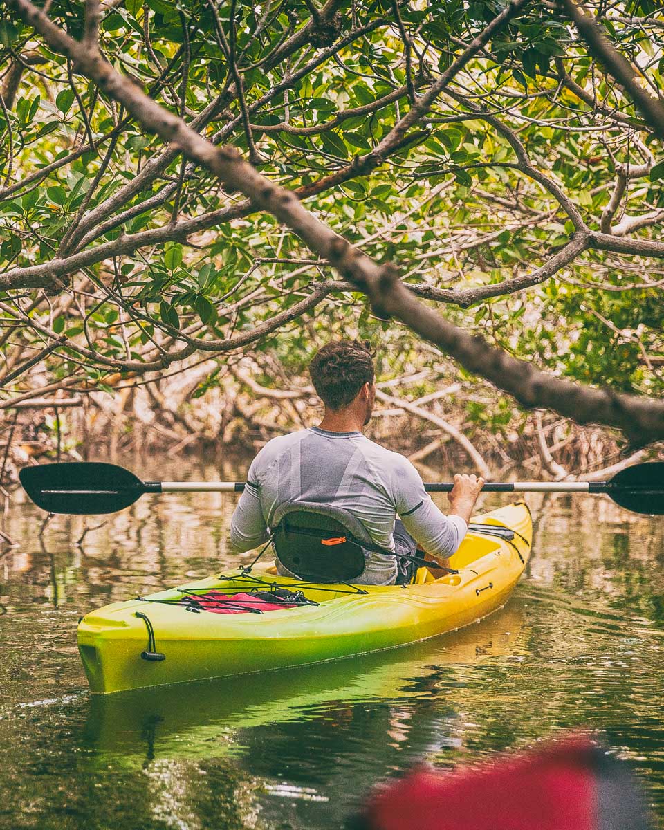 A person kayaks in the mangroves on a tour from Key West Florida