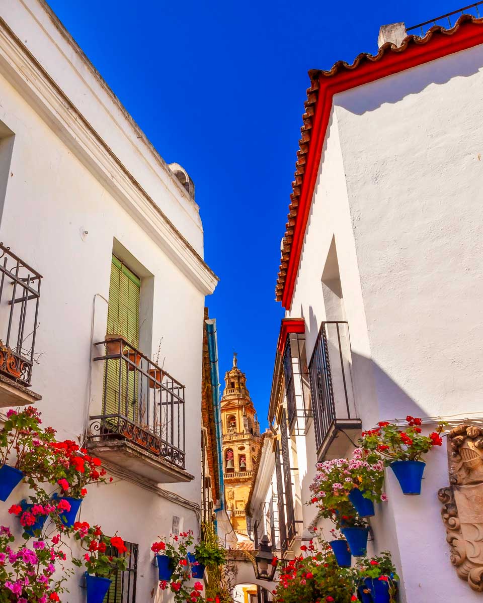 Flower Street Torre del Aliminar Tower Mezquita Cordoba Spain 1