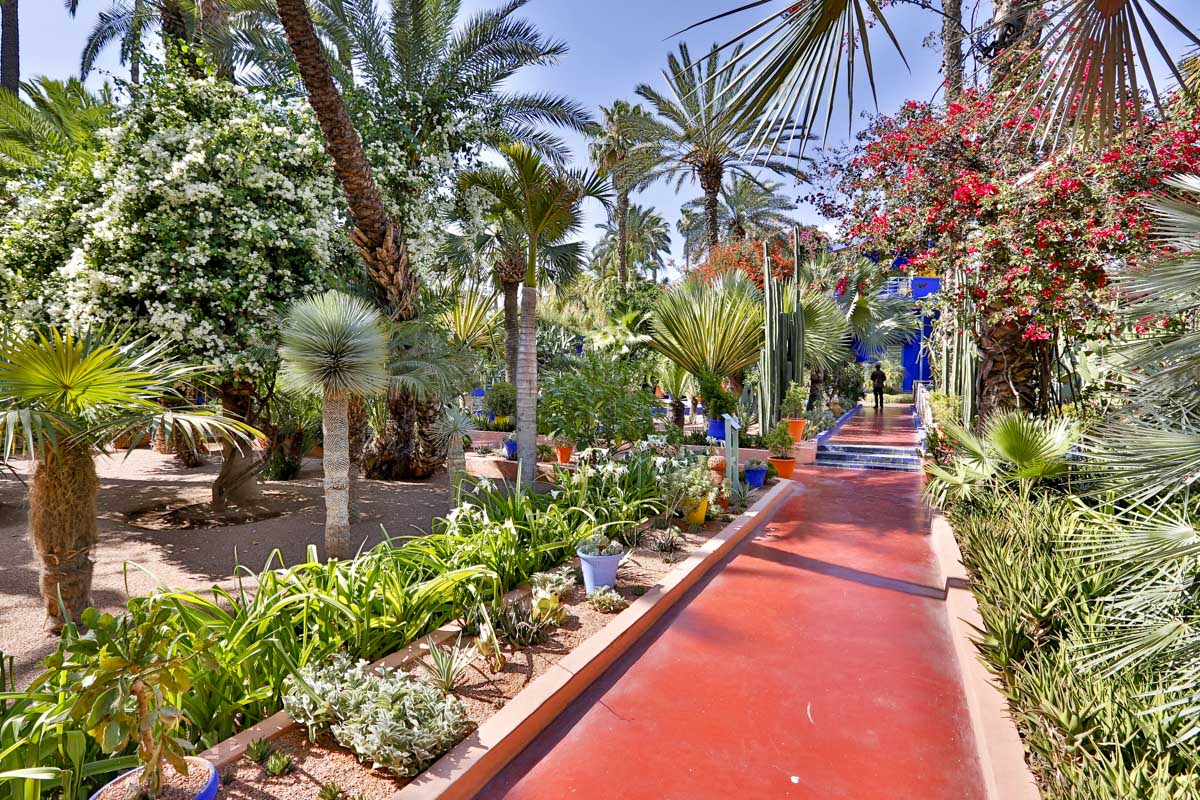Jardin Majorelle in Marrakech Morocco