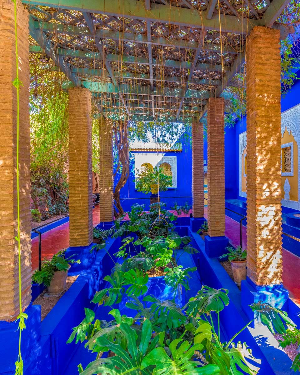 Le Jardin Majorelletropical garden in Marrakech Morocco