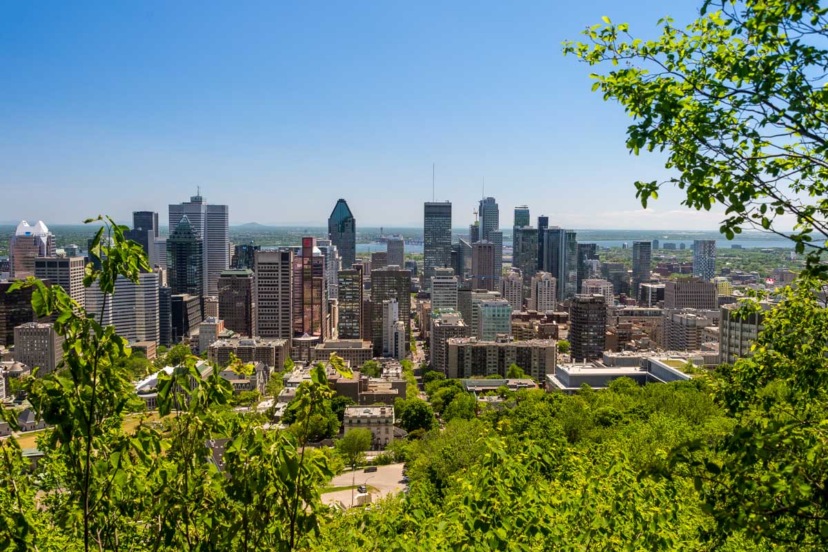 Montreal skyline from Mount Royal in Montreal Quebec