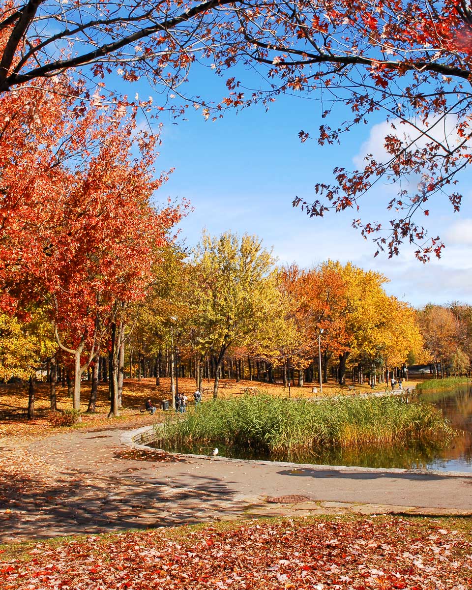 Mount Royal Park in Montreal Quebec