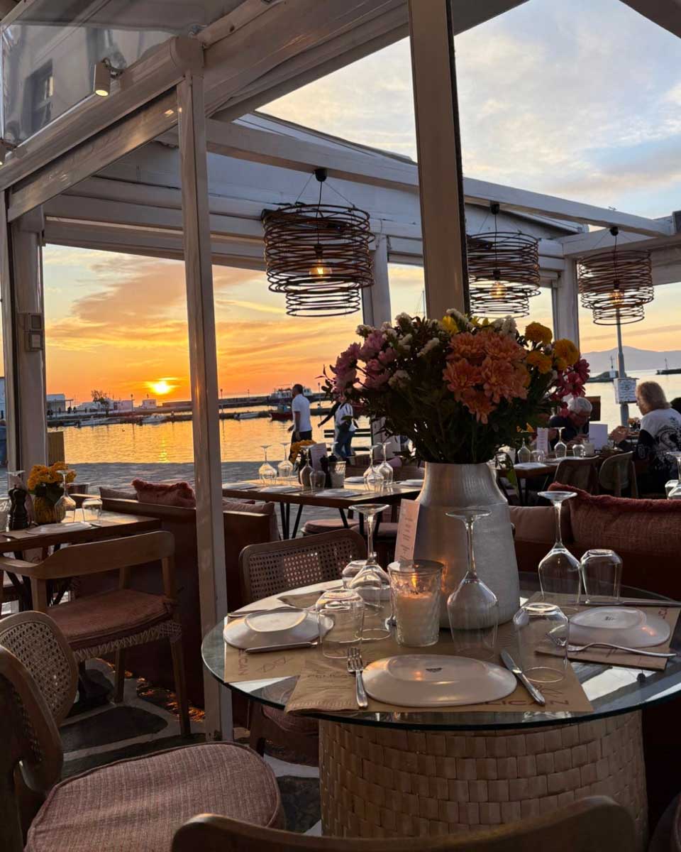 PELICAN in Mykonos Greece (1)