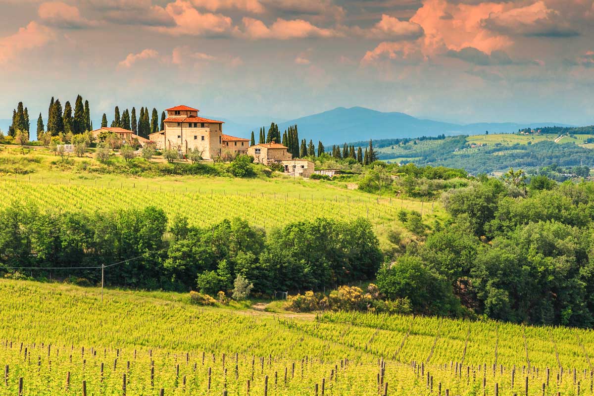 Vineyards and a typical tuscan stone house seen on a tour from Florence