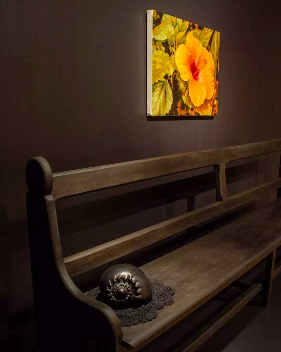 Cairns Art Gallery in Cairns Australia