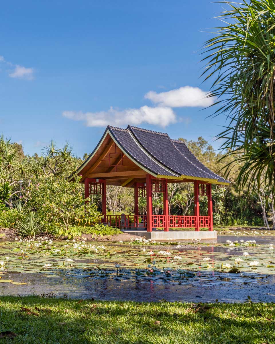Cairns Botanic Gardens in Cairns Australia