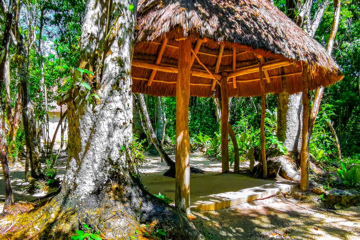 Holistika Area in Tulum Mexico