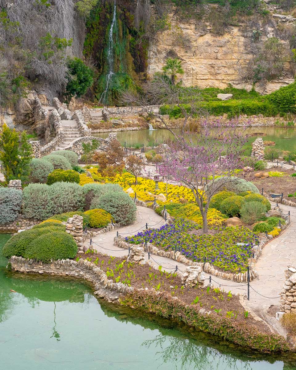 Koi pond in the japanese tea garden San Antonio Texas