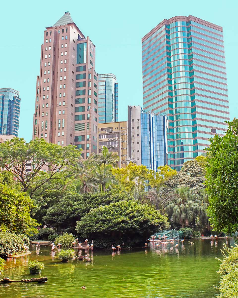 Kowloon park in Hong Kong