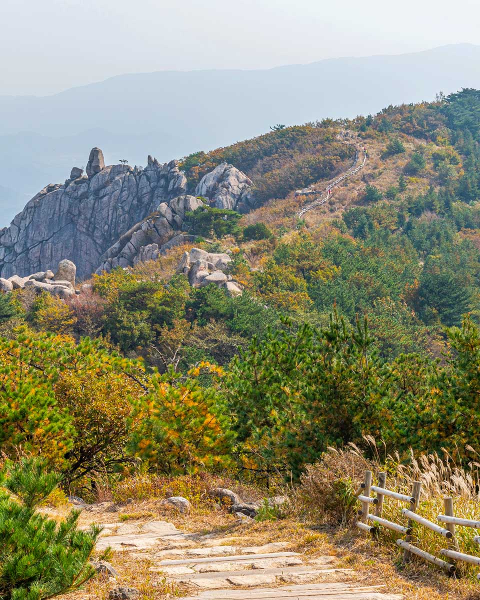 The mountains near Busan on a hike and tour near Busan South Korea