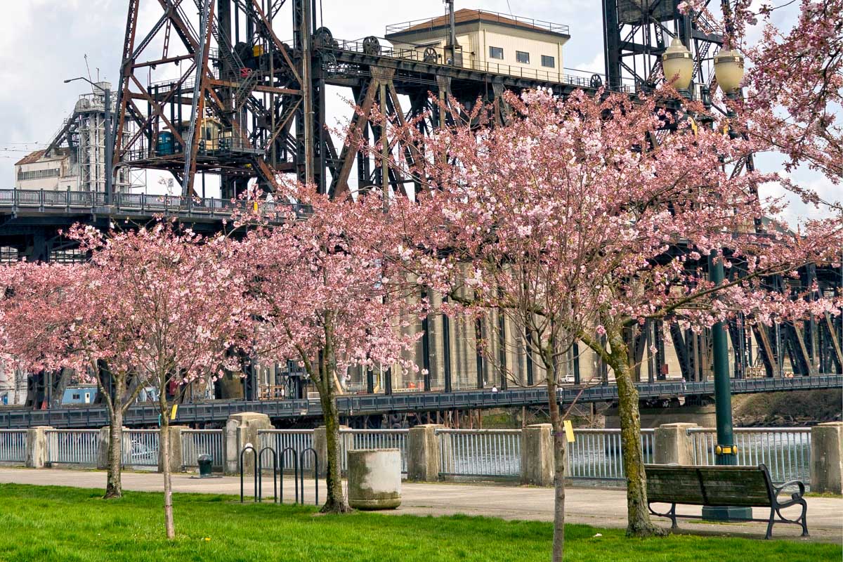 The waterfront of Portland Oregon seen on a bike tour