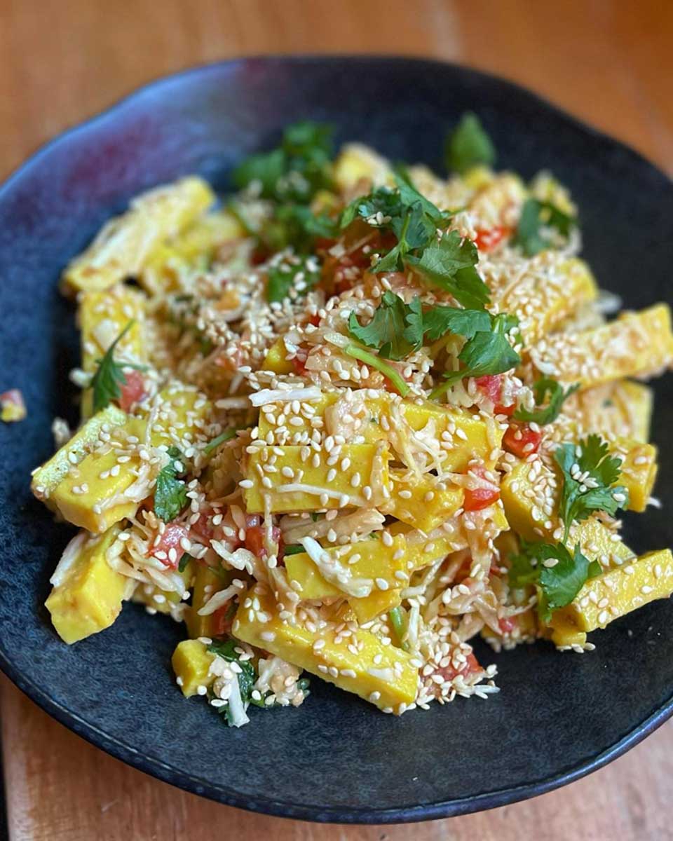 Top Burmese. in Portland Oregon