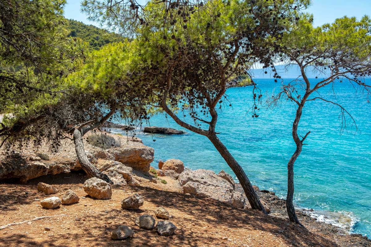 A beach seen on a cruise to the Agistri, Moni, and Aegina islands in Greece