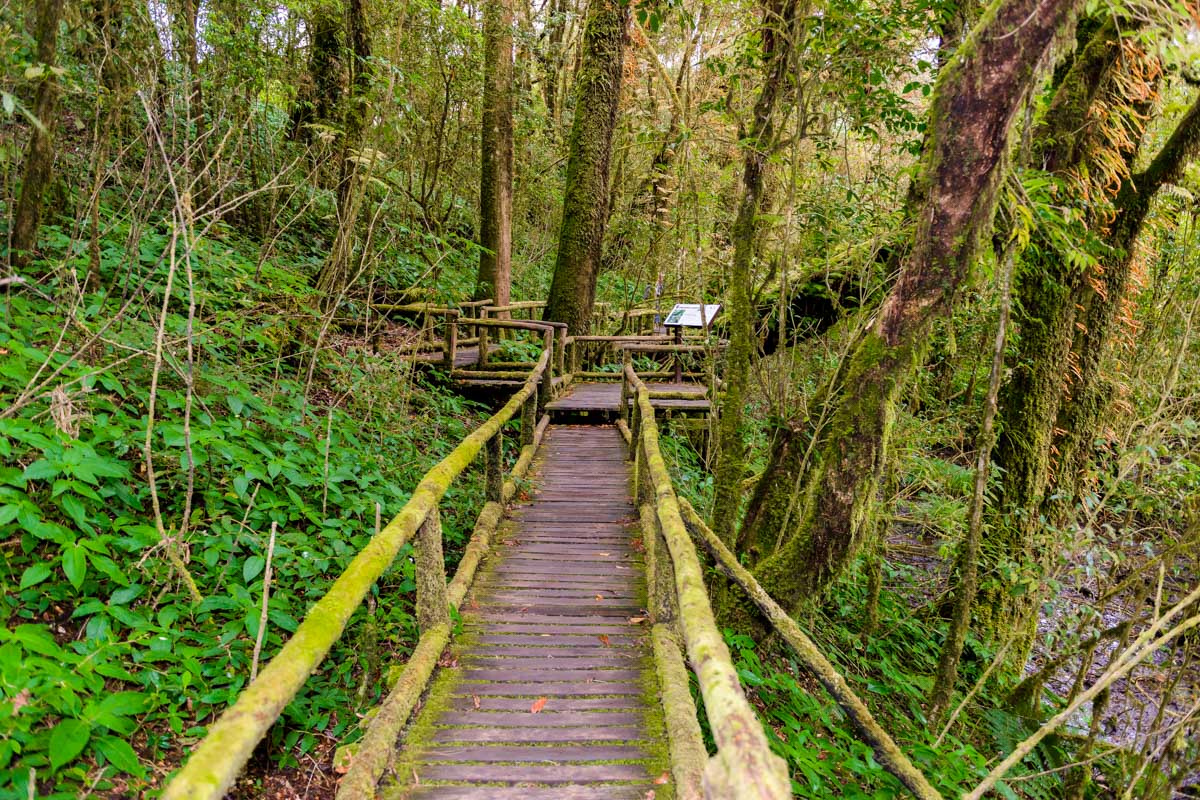 Ang Ka Nature Trail seen on a tour from Chiang Mai Thailand