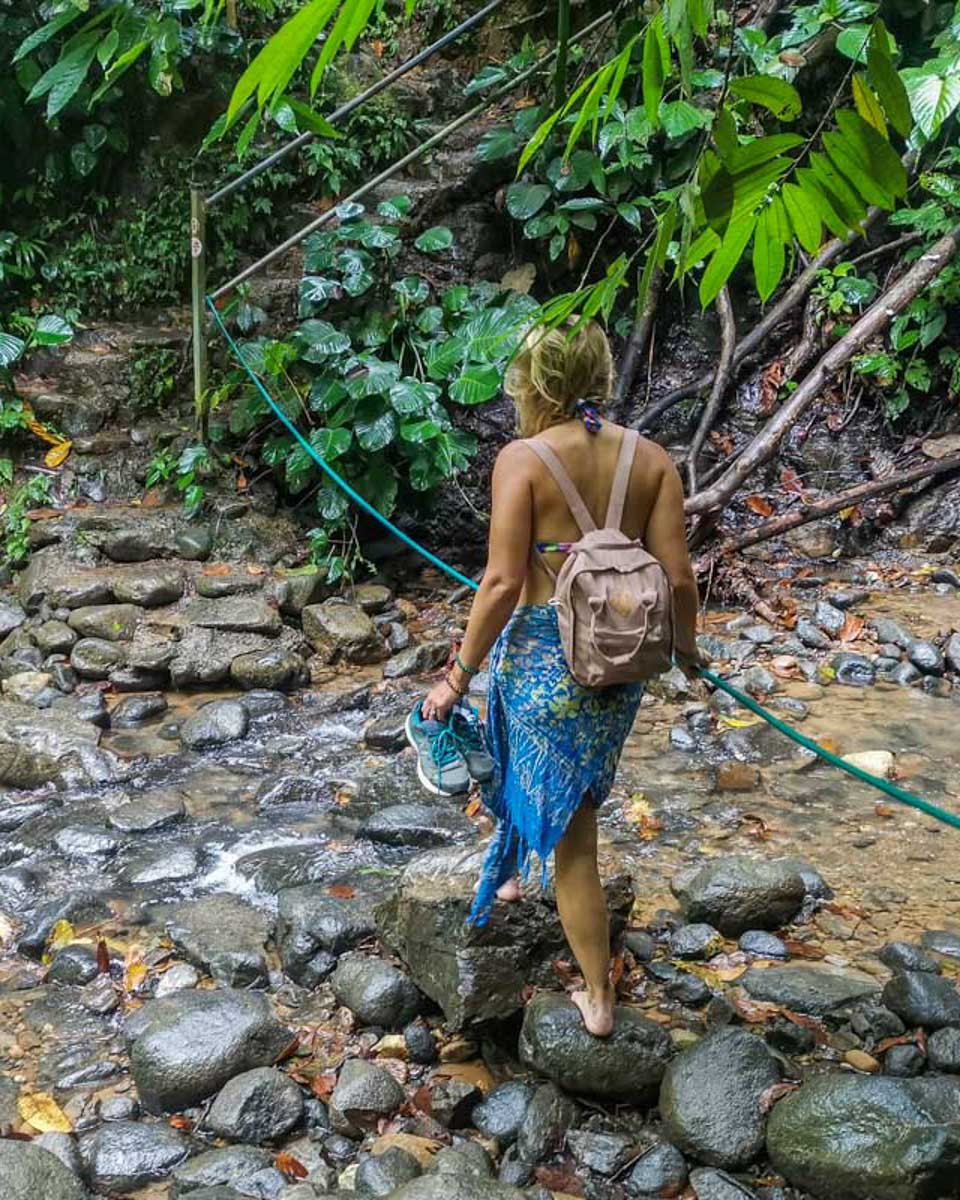 Bailey-walks-on-a-on-the-way-to-a-waterfall-near Puerto Vallarta Mexico