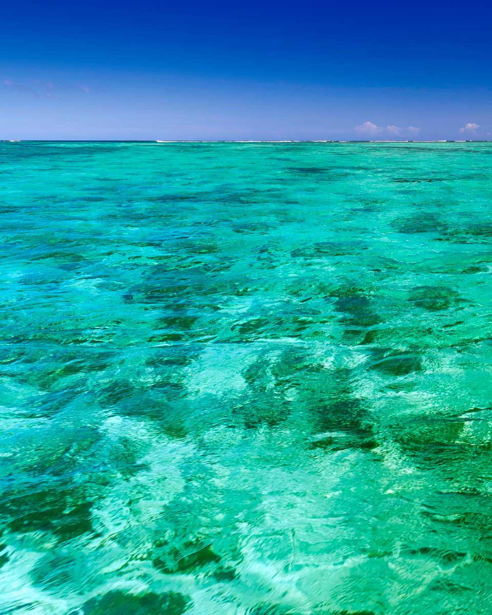 Clear water in Bermuda seen on a kayaking tour
