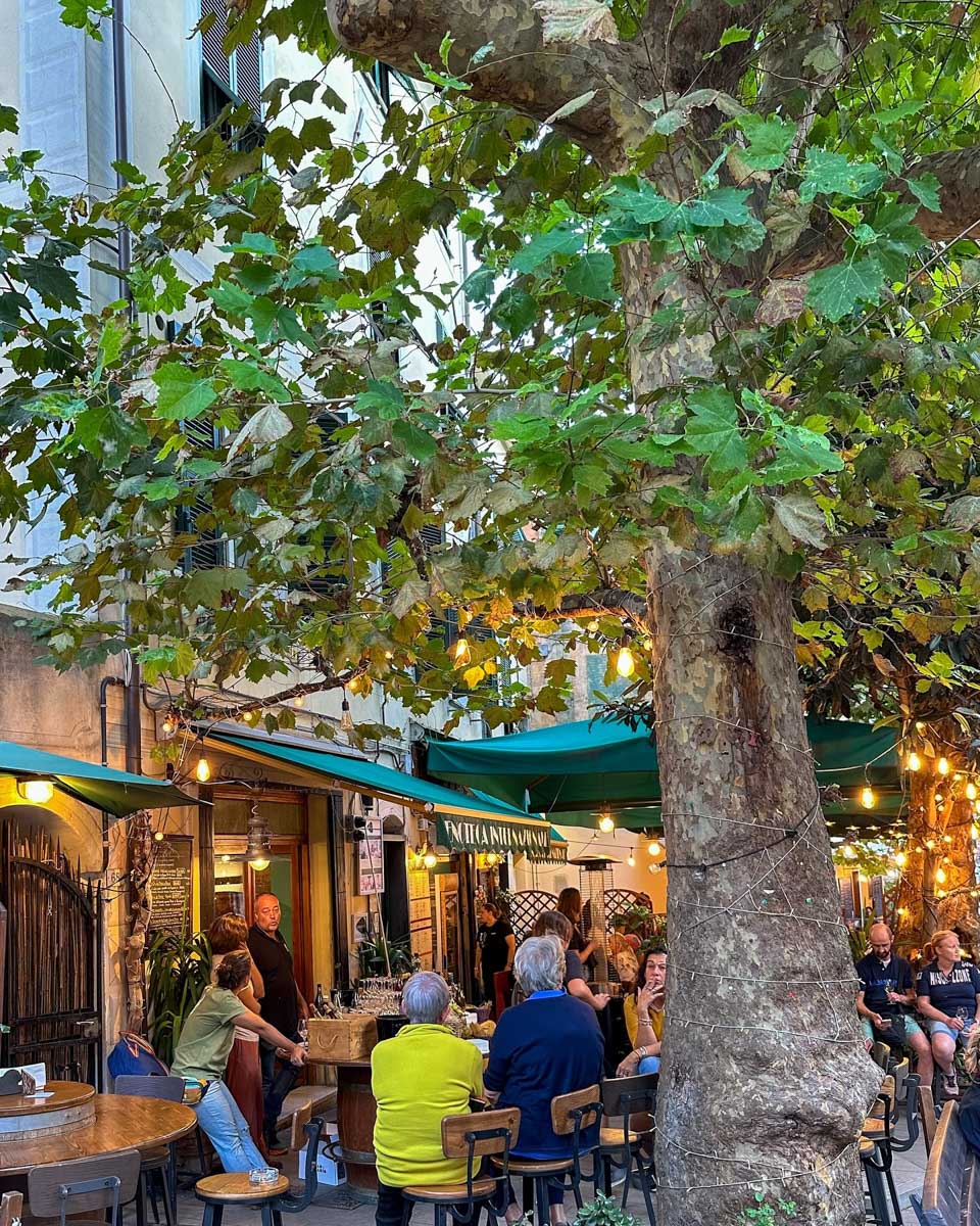 Enoteca Internazionale in Cinque Terre Italy