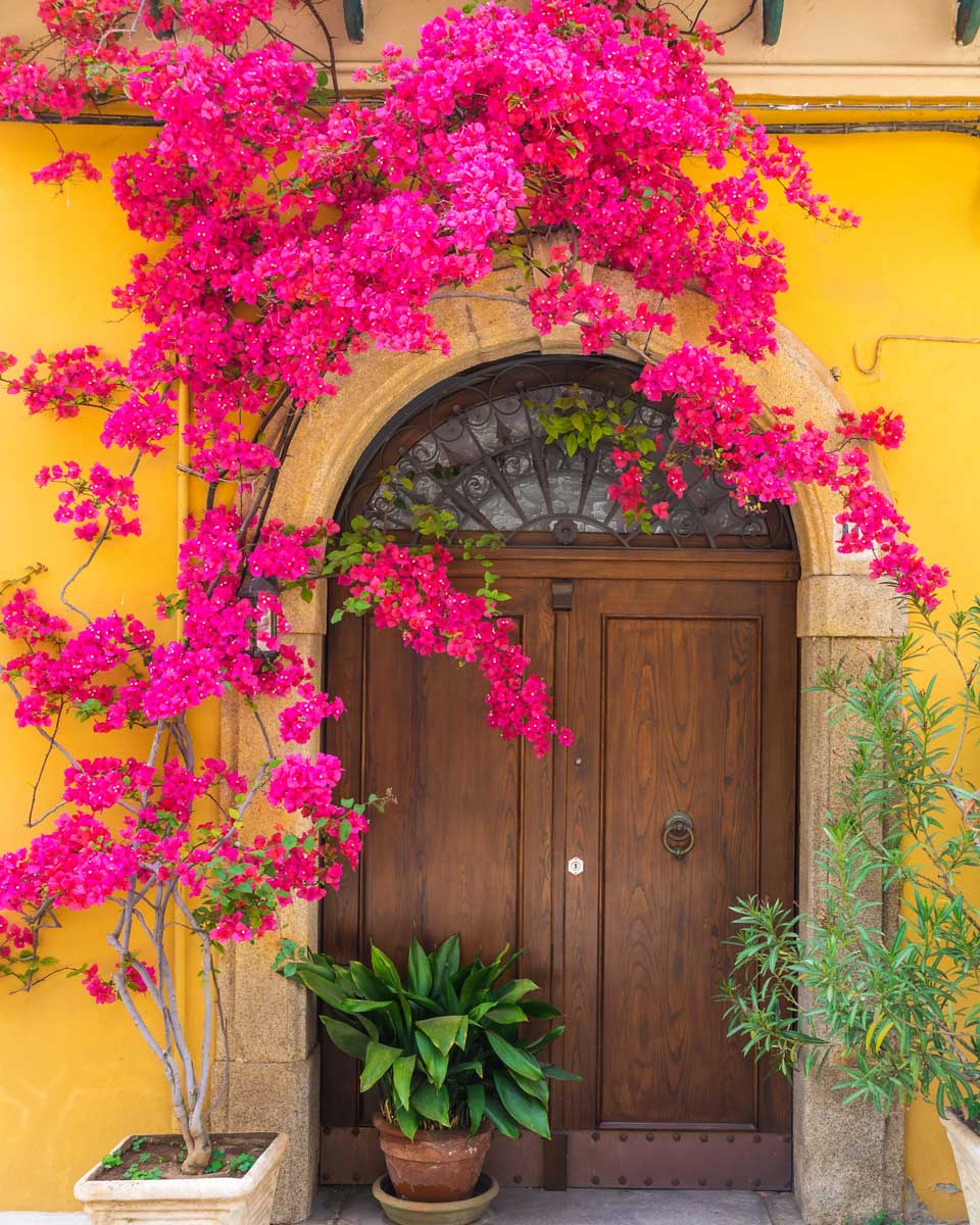 Exterior of a house with pink flowers around the door in Miramar San Juan