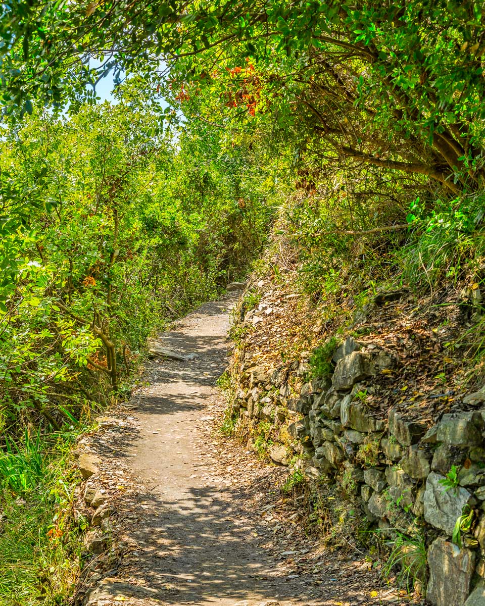 Footpath in Cinque Terre National Park Italy