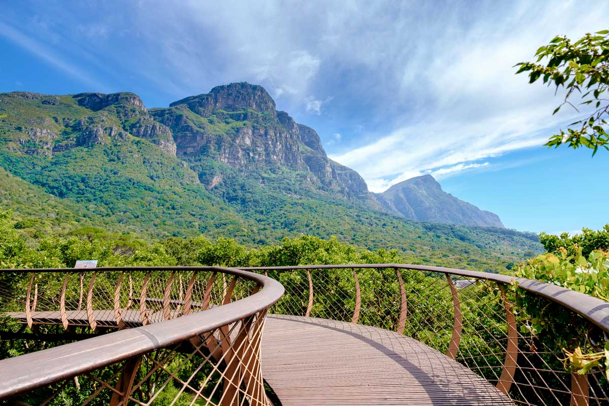 Kirstenbosch National Botanical Garden in Cape Town South Africa