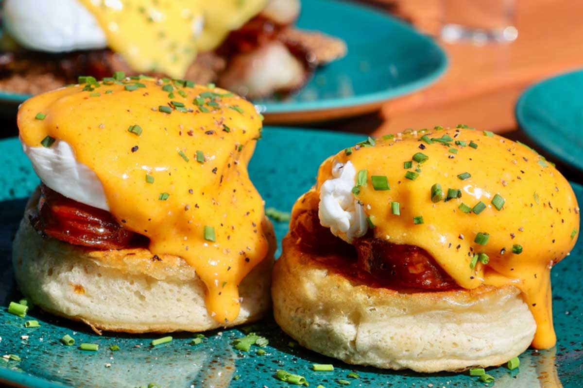 Lazy Fox in Helsinki Finland