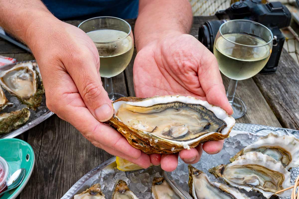 Oysters eaten on a food tour during a tour in Galway Ireland