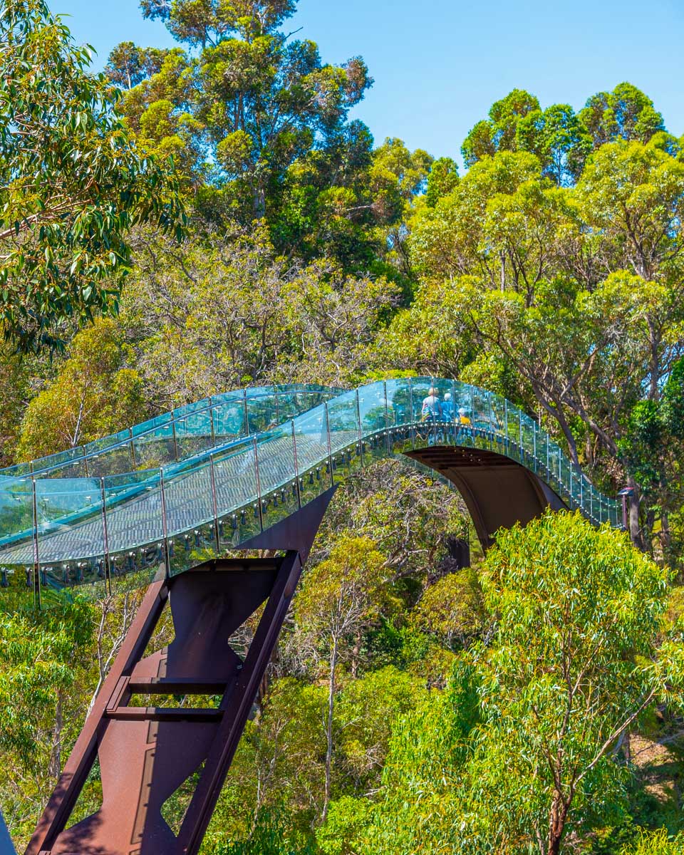 Part of Kings Park in Perth Australia