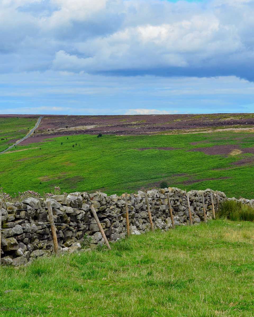 The Yorkshire Moors seen on a tour from York United Kingdom