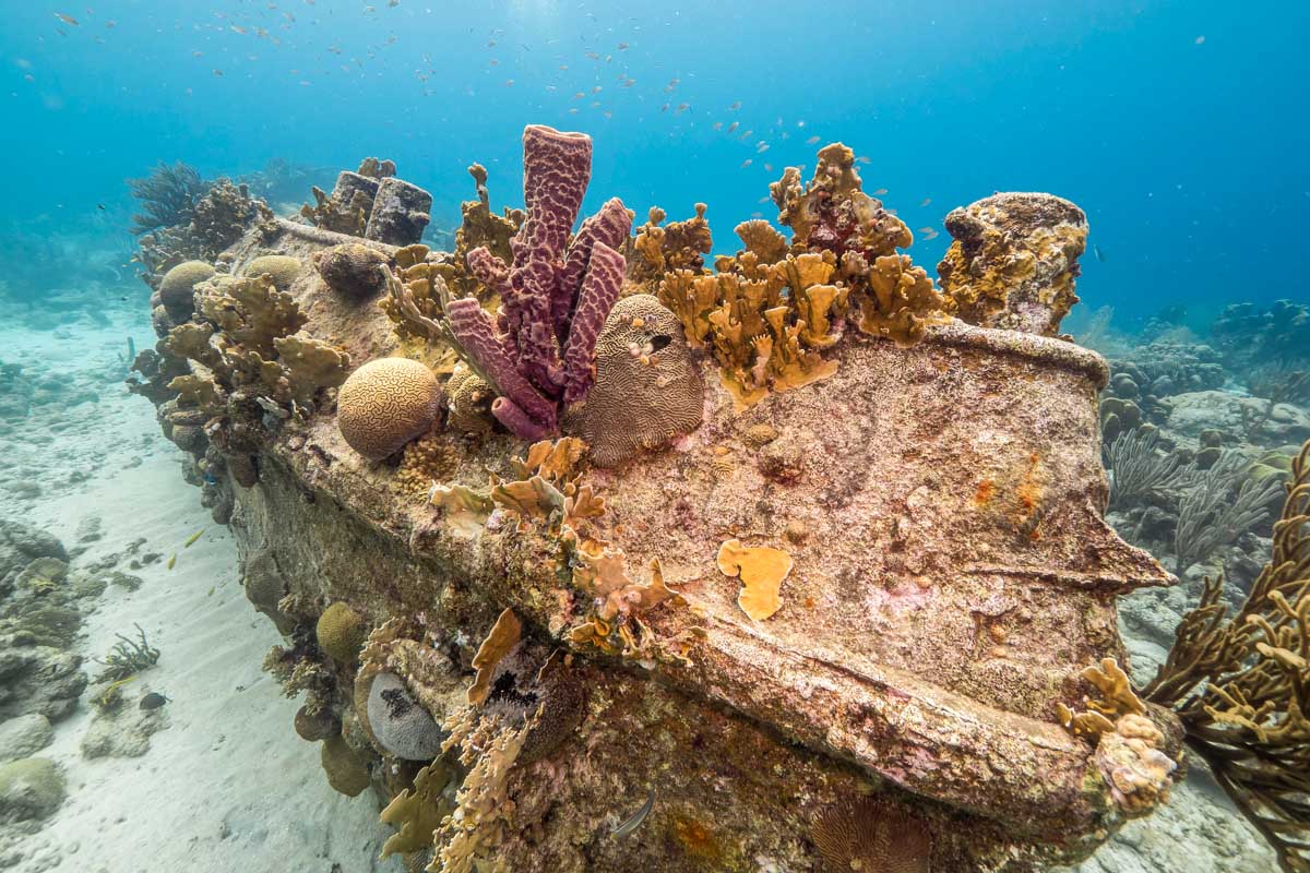 Tugboat Beach shipwreck while snorkeling in Curacao