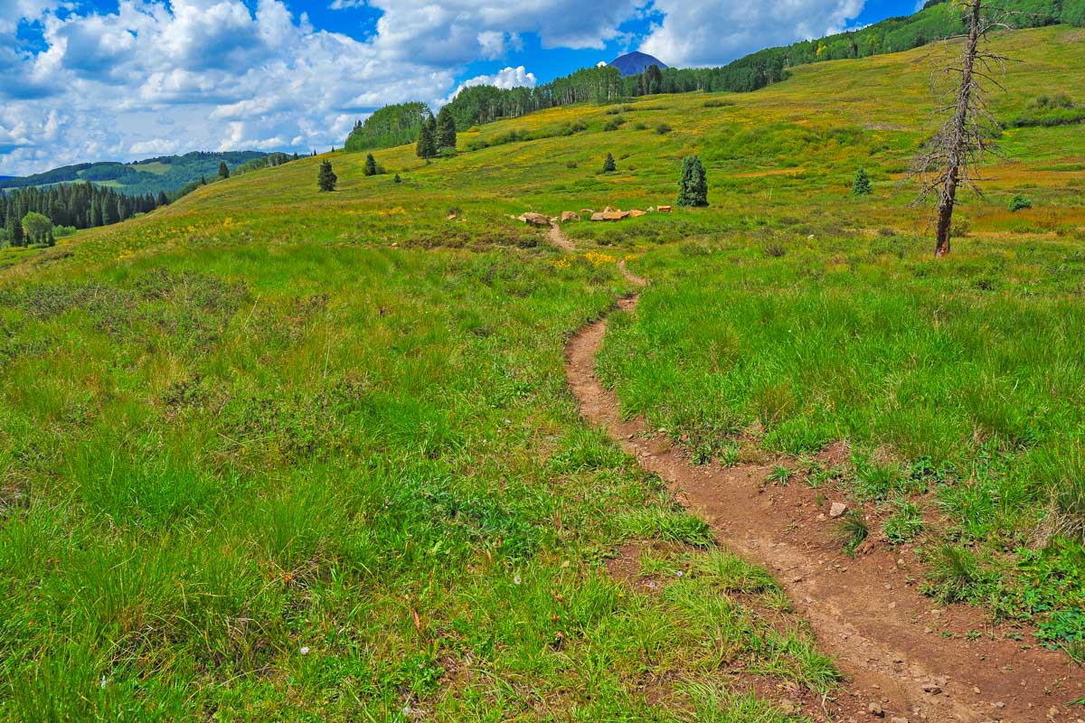 A bike trail near Wilson Wyoming and the Grand Tetons National Park