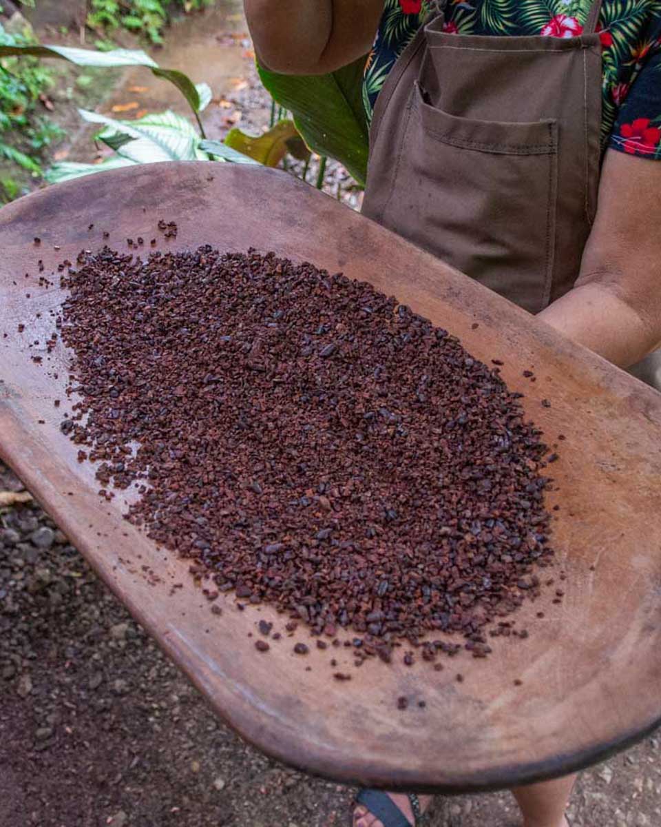 Crshed-cacao-on-a-tour in Bohol Philippines