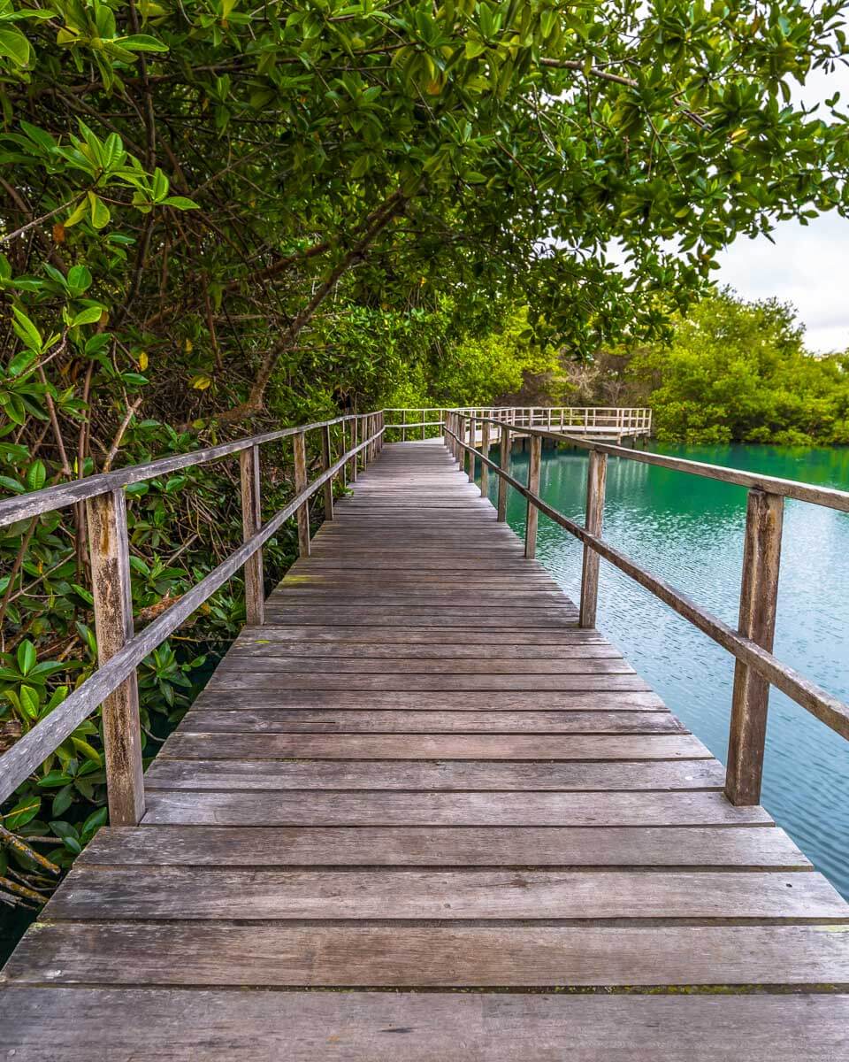 Laguna las Ninfas seen on a bike tour in Galapagos Islands Ecuador