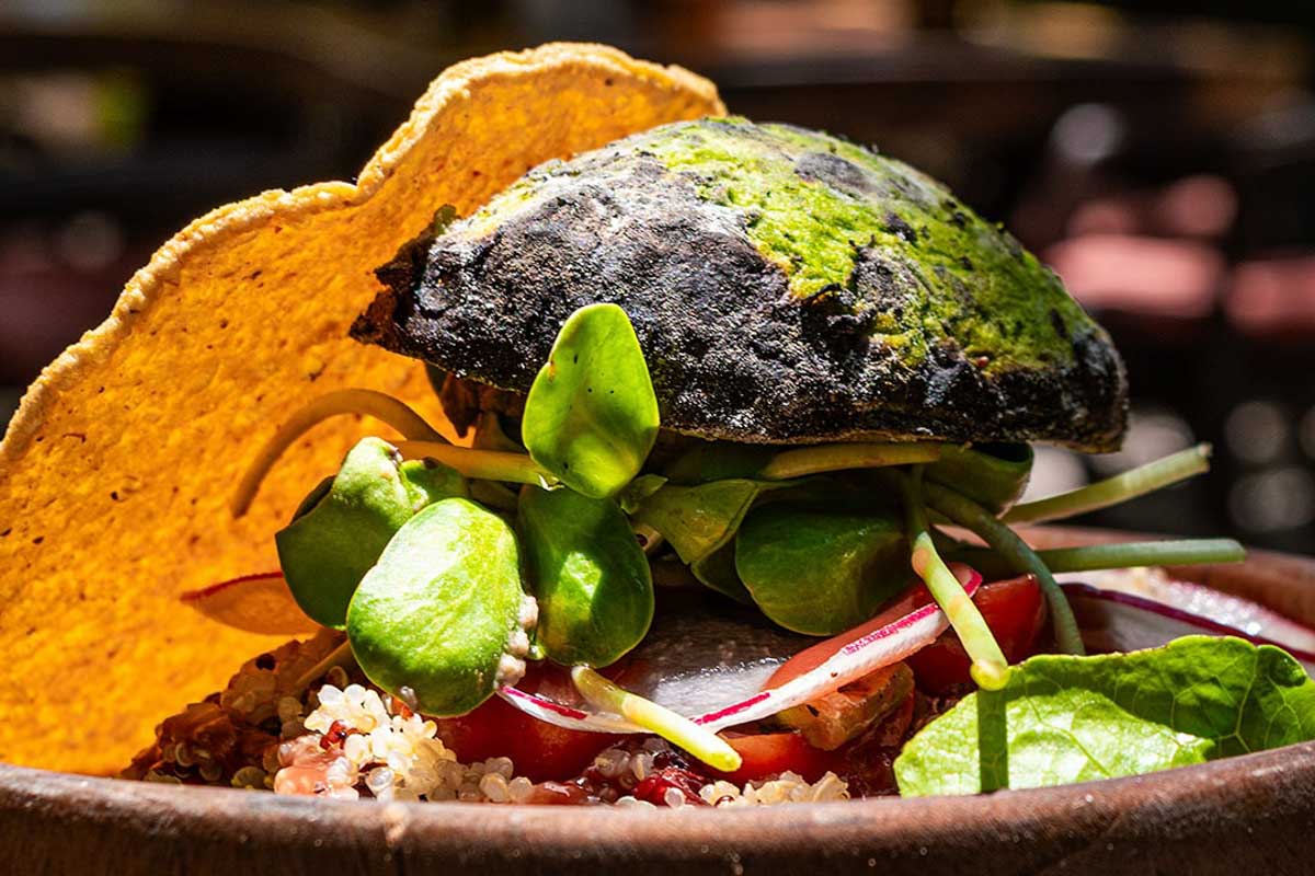 Nixtamal in Bacalar Mexico