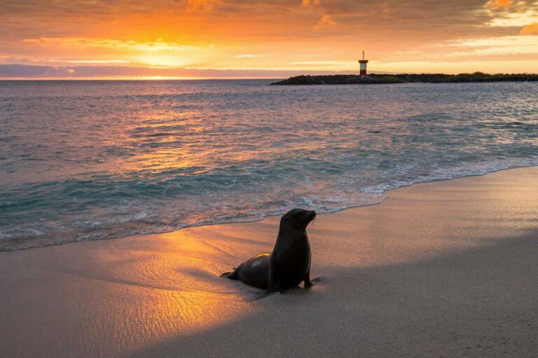 San Cristobal in Galapagos Island Ecuador
