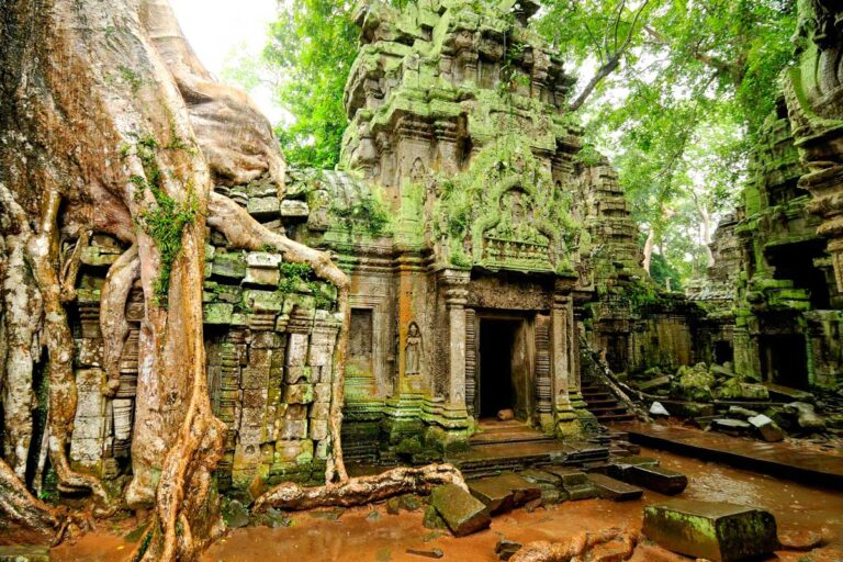 Ta Prohm temple in Siem Reap, Cambodia