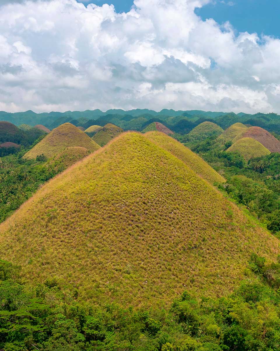The Chocolate Hills seen on a tour of Bohol Philippines (1)