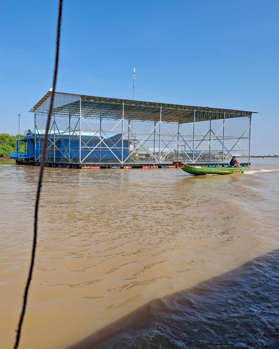 Tonle Sap seen on a tour from Siem Reap Cambodia (1)