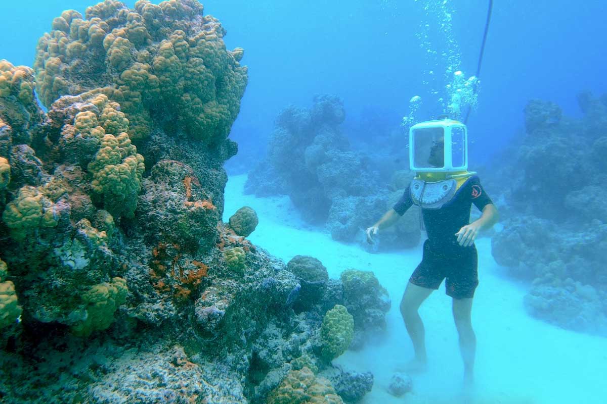 Aqua Safari Bora Bora in Bora Bora