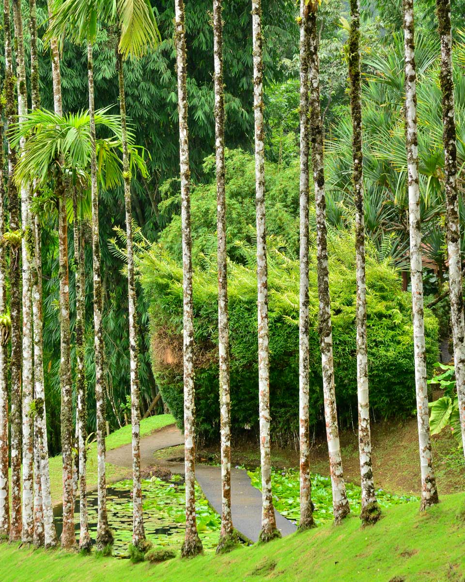 Domaine d’Émeraude botanical gardens in Martinique