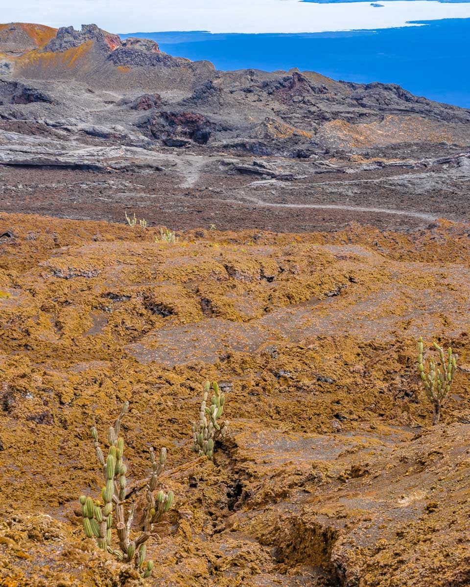 Sierra Negra Volcano seen on a tour from the Galapagos Islands (1)
