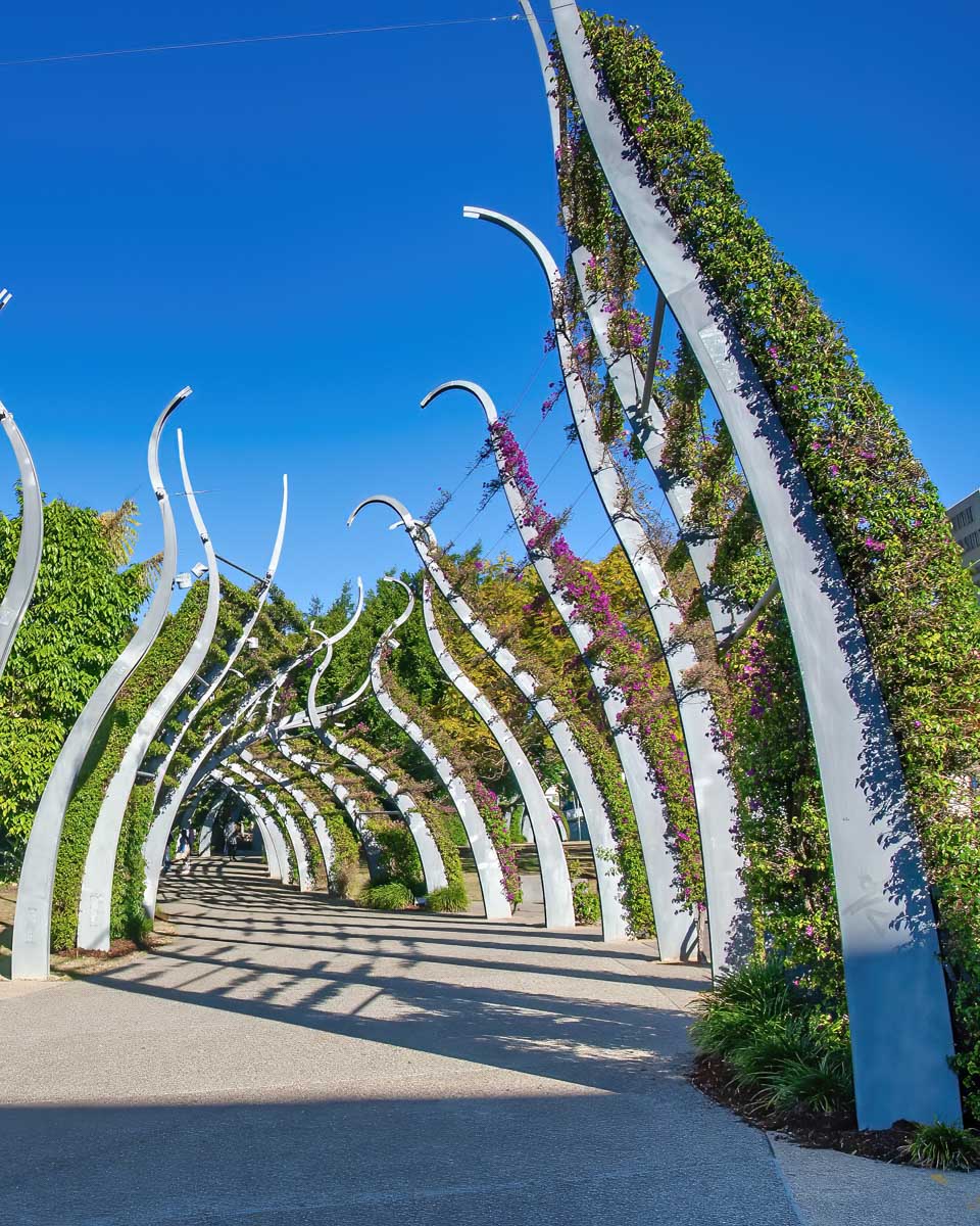 South Bank Grand Arbour on a sunny day in Brisbane