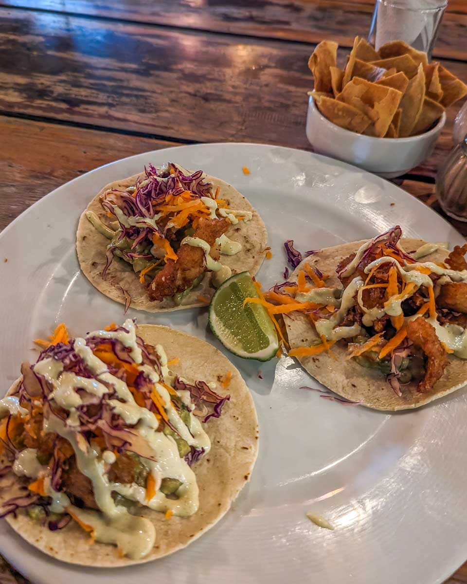 Tacos eaten for dinner in Brisbane, australia