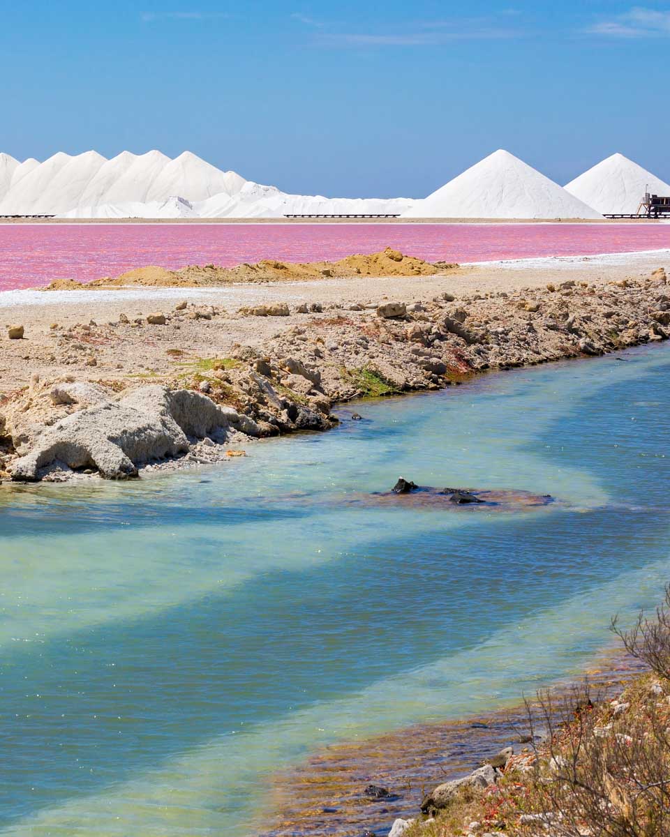 The pink salt flats in Bonaire