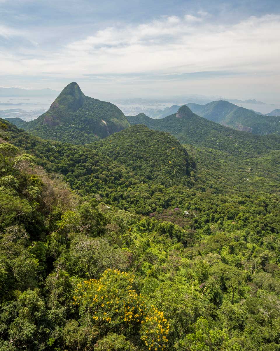 Tijuca National Park seen on a tour from Rio de Janeiro Brazil (2)