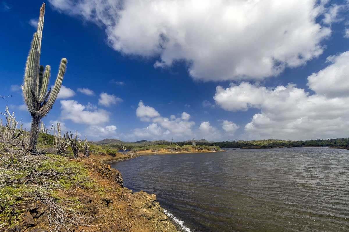 Washington Slagbaai National Park in Bonaire