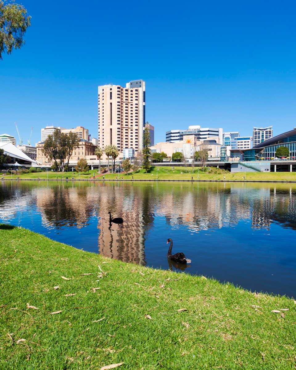 views of the city while having a picnic in Adelaide