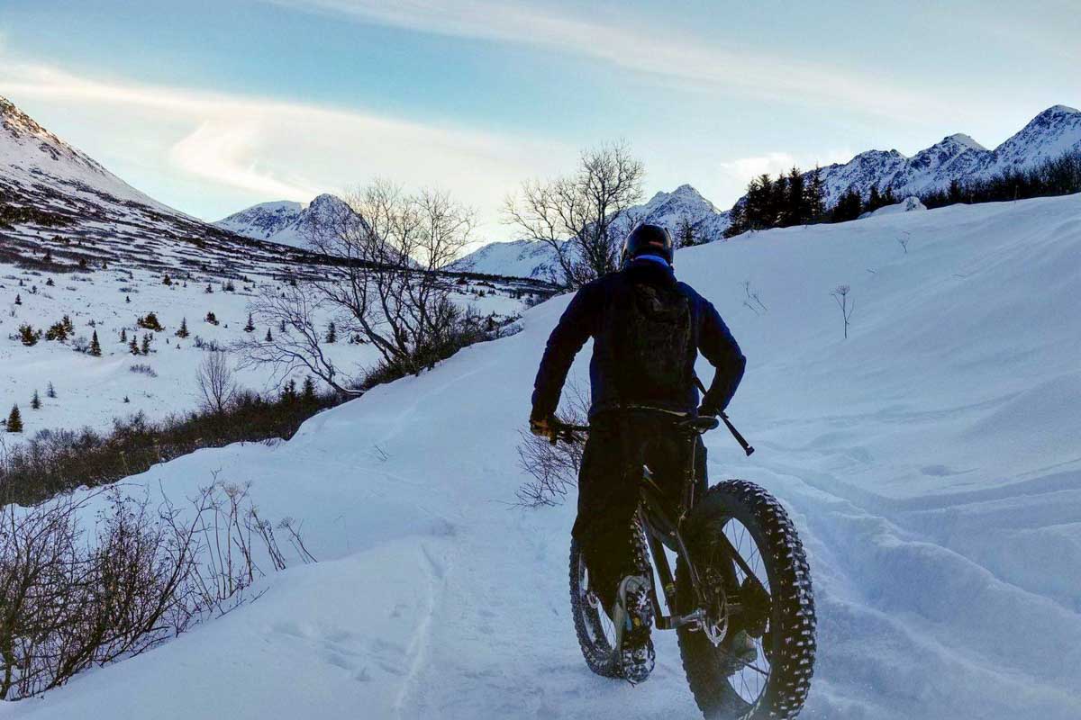 Alaska Trail Guides in Anchorage Alaska