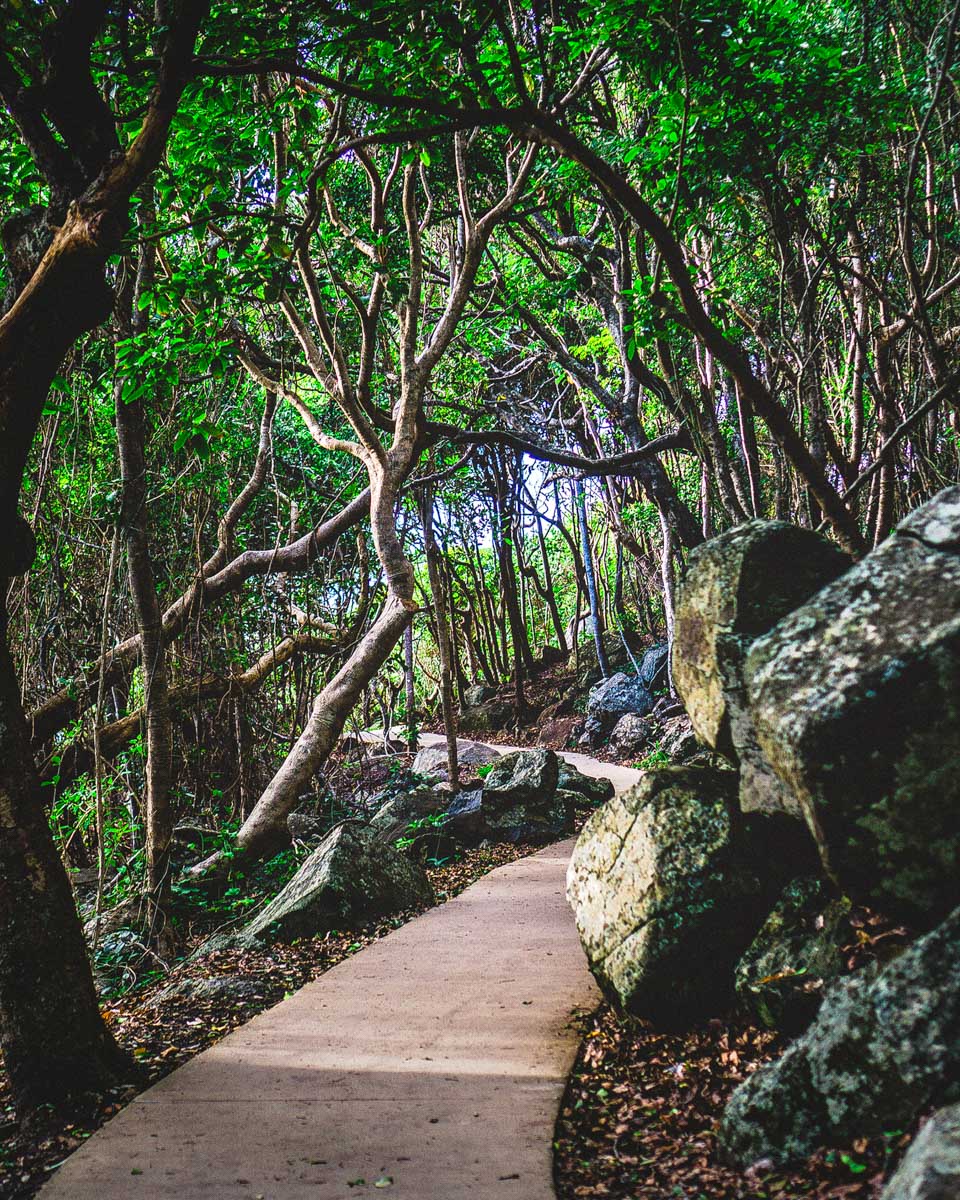 Burleigh Head National Park Walk in Gold Coast Australia