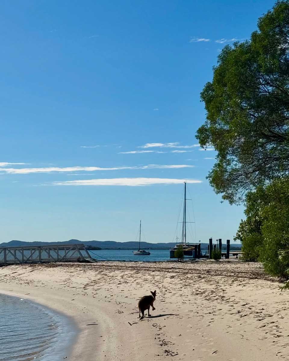 Jet Ski Safaris Gold Coast from Gold Coast Australia
