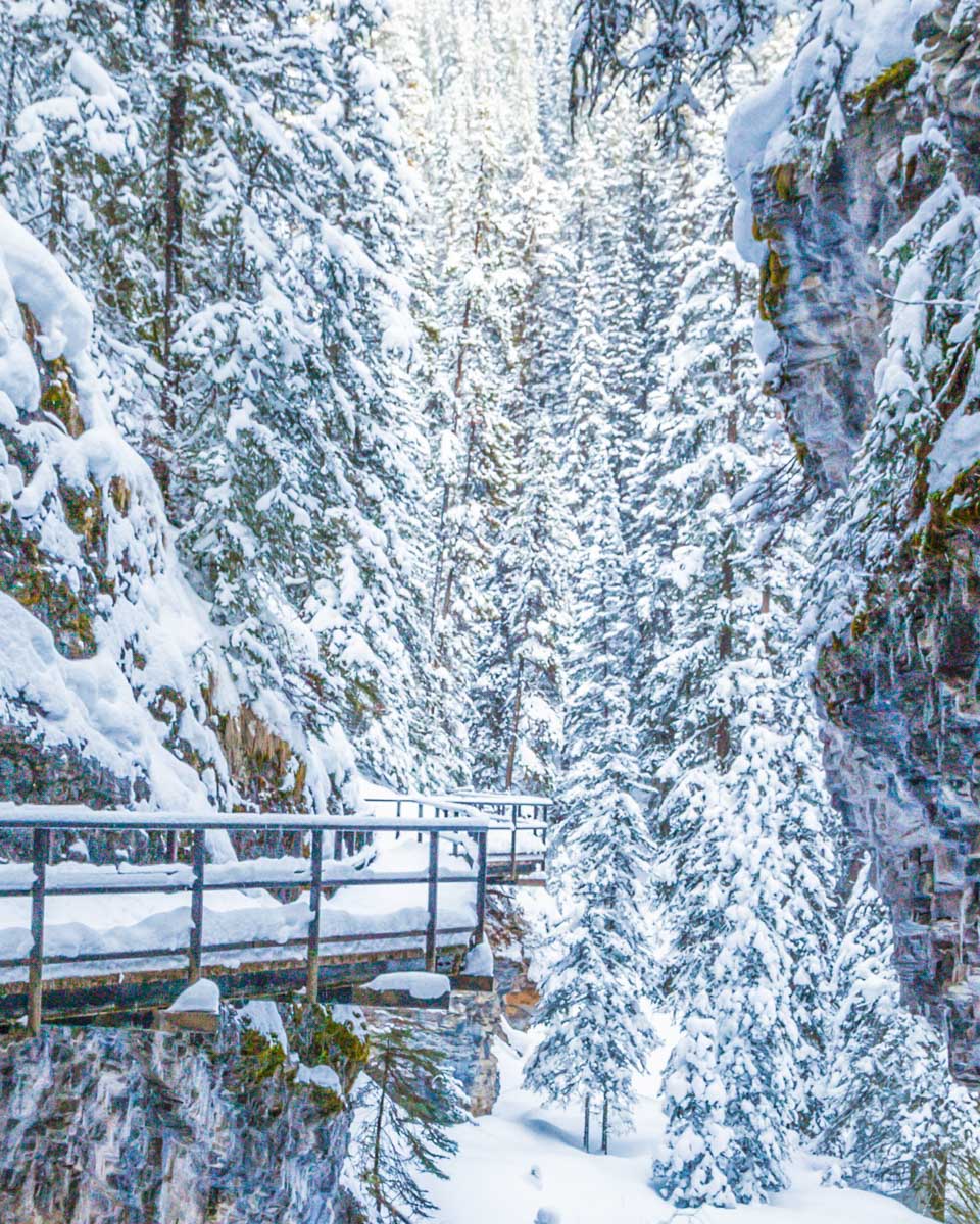 Snow-covered-boardwalk-in-Johnston-Canyon-Banff-NP near Lake Louise